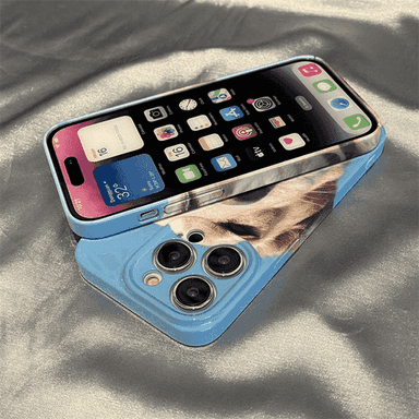 iPhone modelli telefonlar üçin çehol.