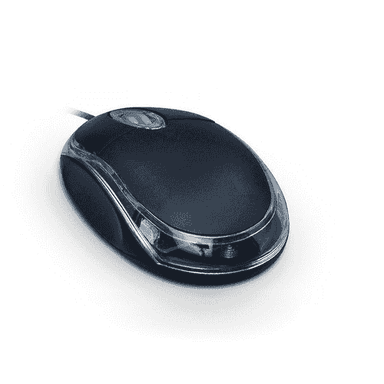 Kompýuterlar üçin niýetlenen USB syçanjyk 
