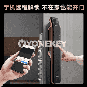 Haier akylly gapy gulpy
