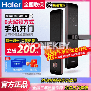 Haier elektron akylly gapy gulpy